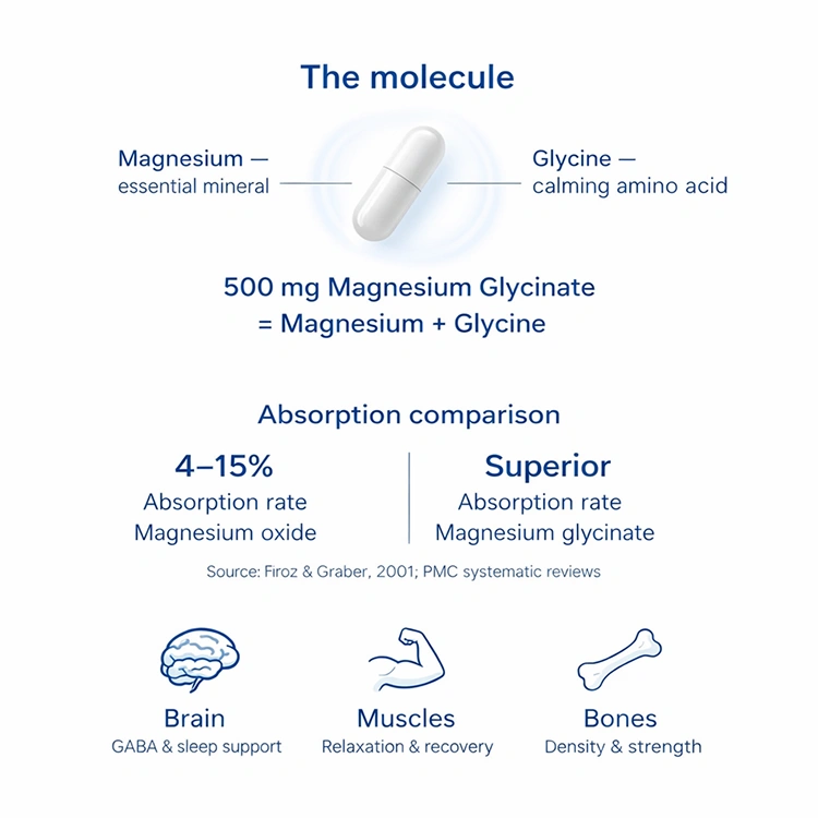 Scientific visualization showing a ruby-red LPC molecule with golden halo passing through a glowing cyan Mfsd2a gateway, with an illuminated golden neural network beyond — illustrating direct brain delivery